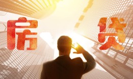 剖析贷款诈骗罪案件特点与法律对策