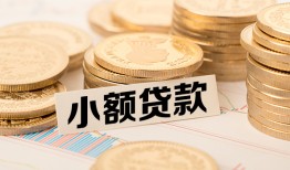 东莞个人哪里有小额贷款-东莞个人身份证贷款平台-东莞个人民间短借
