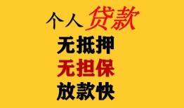 东莞个人信用贷款网-东莞个人私借空放先息后本-东莞个人贷款无抵押